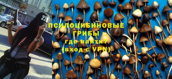 мяу мяу мука Волоколамск