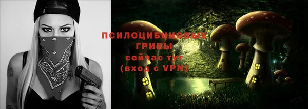 ешки Волосово
