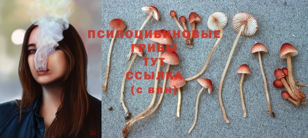 ешки Волосово