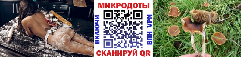 Псилоцибиновые грибы MAGIC MUSHROOMS Липецк
